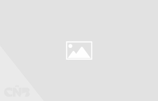 Foto van Hoogwerker LGMG 0407DC