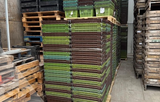 Foto van Grote curvers