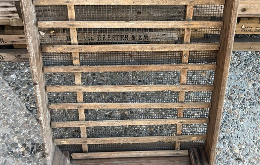 Foto van Hyacinthen hol bakken