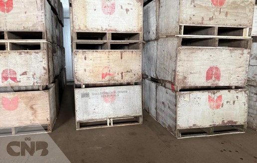 Foto van Kuubskisten 150x120x92