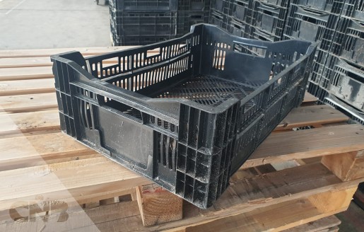 Foto van Tulpen exportkratten 60x40x18