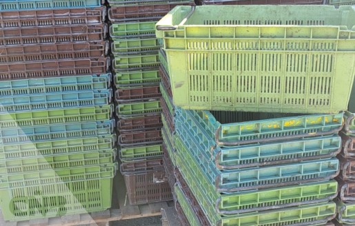 Foto van Curvers-Nestbare kratten