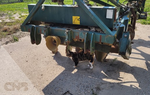 Foto van Van Hienen Lichter