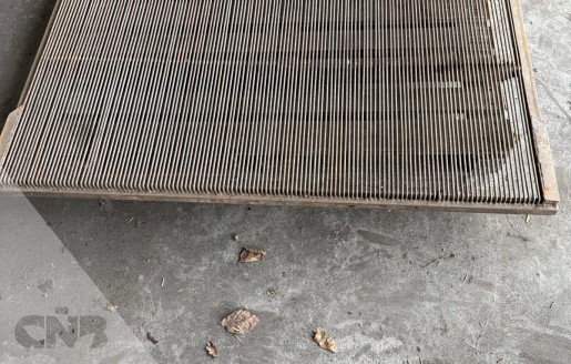 Foto van Rooizeefmat