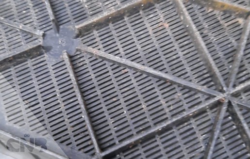 Foto van Nipla broeifust *GEVRAAGD*