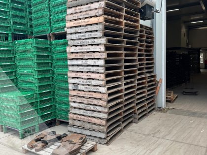 Pallets 150x100