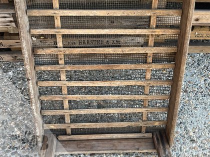 Hyacinthen hol bakken