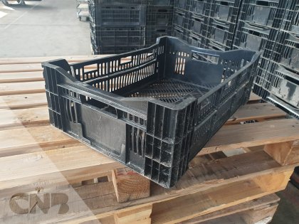 Tulpen exportkratten 60x40x18