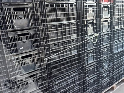 Leliekratten gebruikt