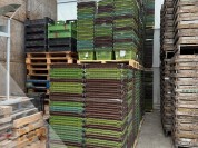 Foto van Grote curvers
