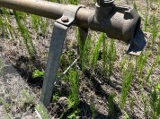 Foto van Beregeningsbuizen