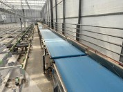 Foto van Compleet broeisysteem-KG