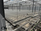 Foto van Compleet broeisysteem-KG