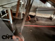 Foto van Inpaklijn-Bosch 2