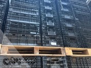 Foto van Leliekratten gebruikt