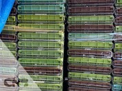 Foto van Gevraagd curvers/nestbare kratten