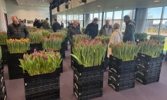 News image: Een mix van een show, marktbroei-overzicht en gezellig bijpraten!